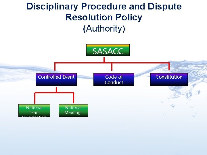 Disciplinary Procedure and Dispute Resolution Policy (Authority) SASACC Controlled Event National Team Participation National