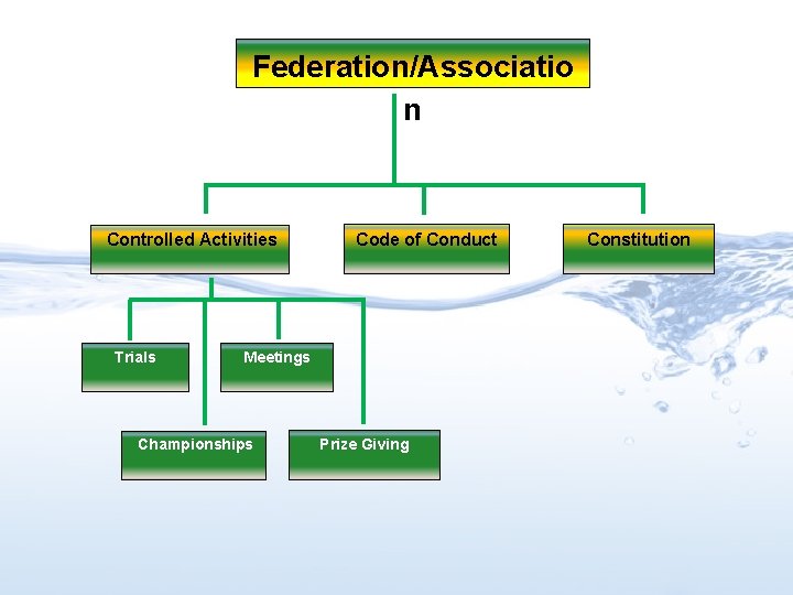 Federation/Associatio n Controlled Activities Trials Code of Conduct Meetings Championships Prize Giving Constitution 