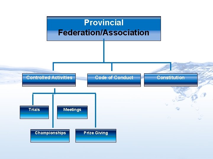 Provincial Federation/Association Controlled Activities Trials Code of Conduct Meetings Championships Prize Giving Constitution 
