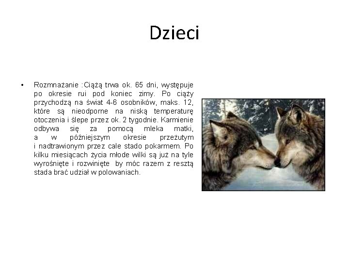 Dzieci • Rozmnażanie : Ciążą trwa ok. 65 dni, występuje po okresie rui pod