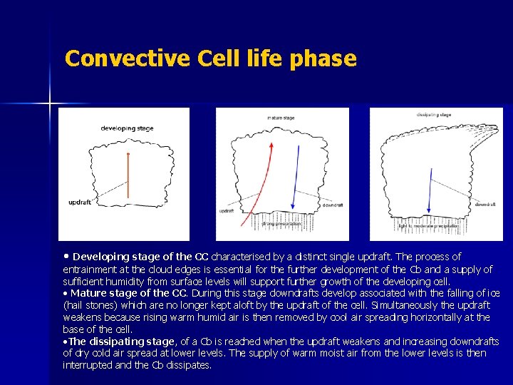 Convective Cell life phase • Developing stage of the CC characterised by a distinct