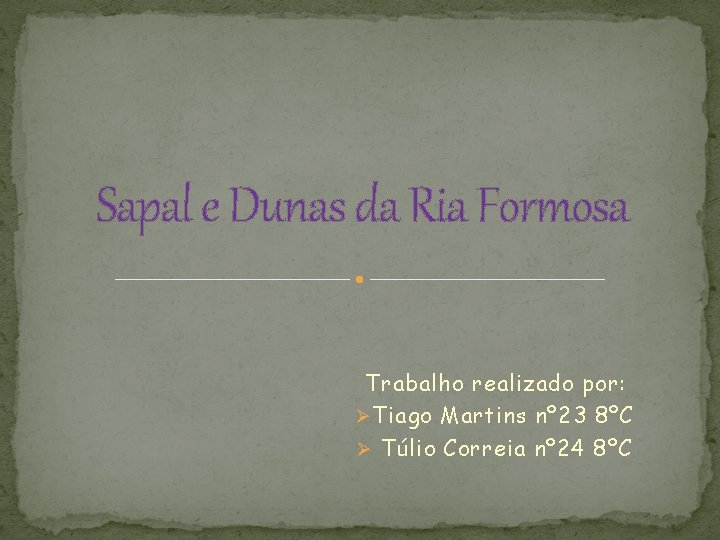 Sapal e Dunas da Ria Formosa Trabalho realizado por: Ø Tiago Martins nº 23