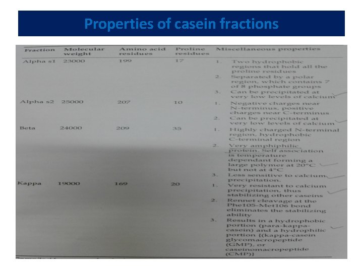 Properties of casein fractions 