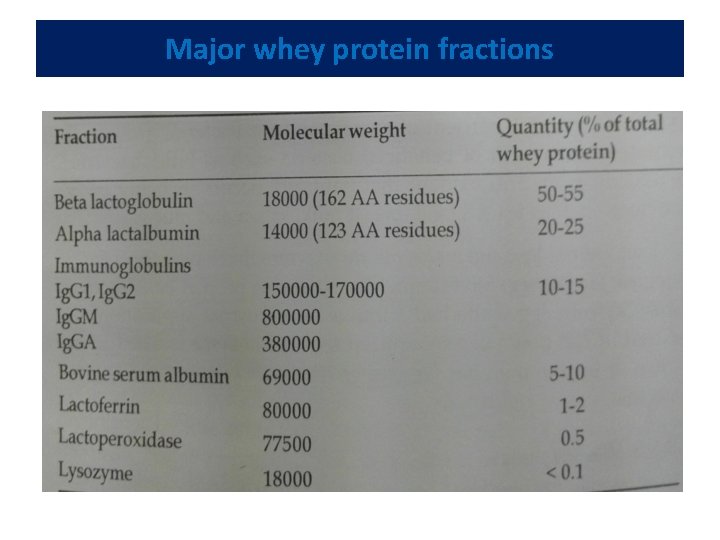 Major whey protein fractions 