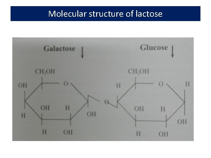 Molecular structure of lactose 