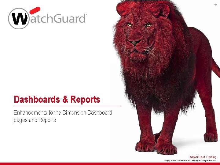 47 Dashboards & Reports Enhancements to the Dimension Dashboard pages and Reports Watch. Guard