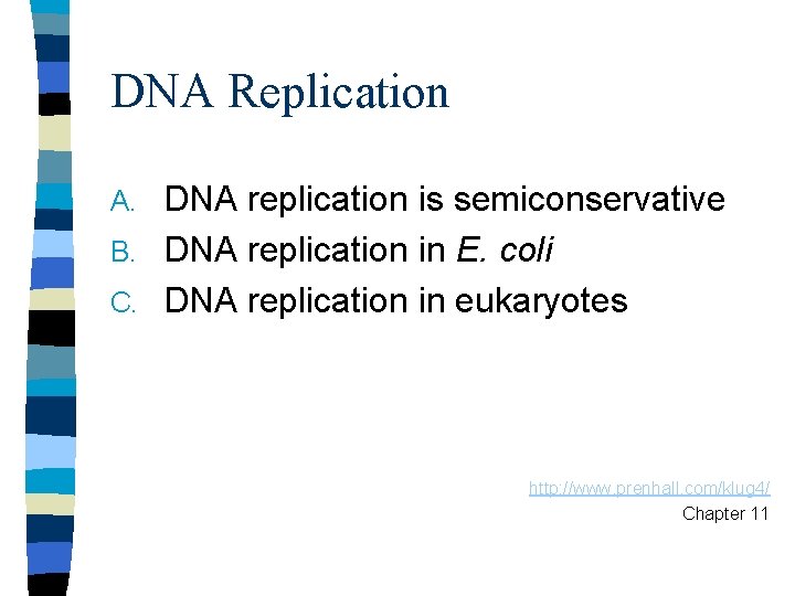 DNA Replication DNA replication is semiconservative B. DNA replication in E. coli C. DNA