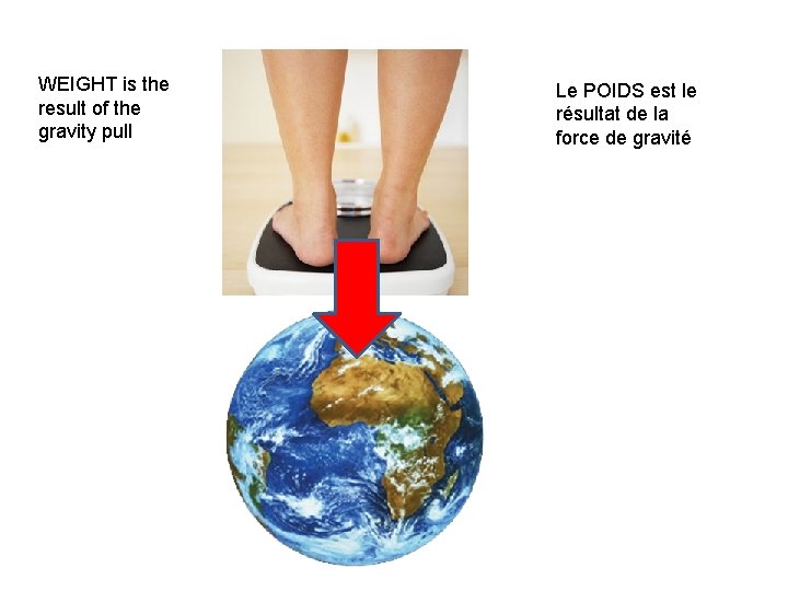 WEIGHT is the result of the gravity pull Le POIDS est le résultat de