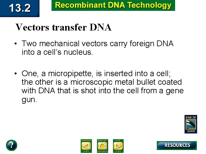 Vectors transfer DNA • Two mechanical vectors carry foreign DNA into a cell’s nucleus.