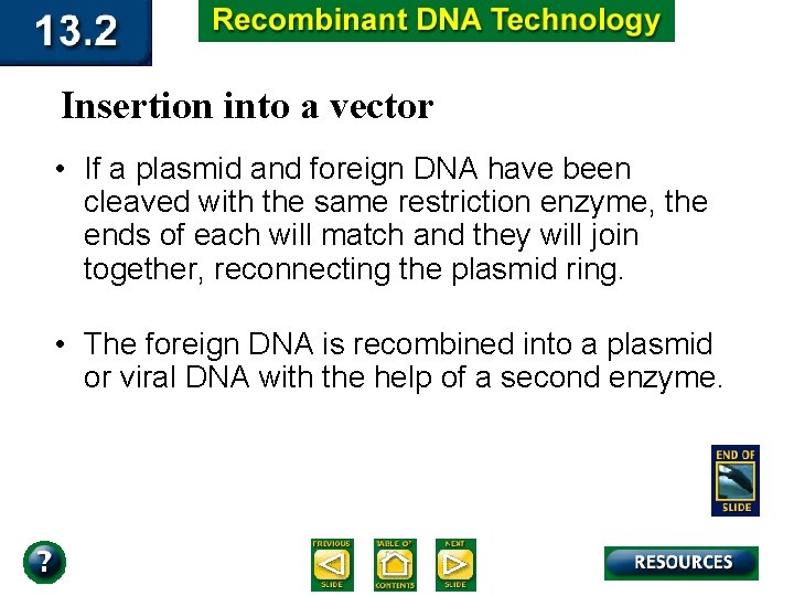 Insertion into a vector • If a plasmid and foreign DNA have been cleaved