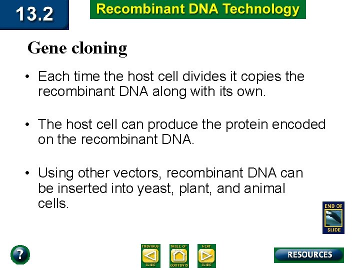 Gene cloning • Each time the host cell divides it copies the recombinant DNA
