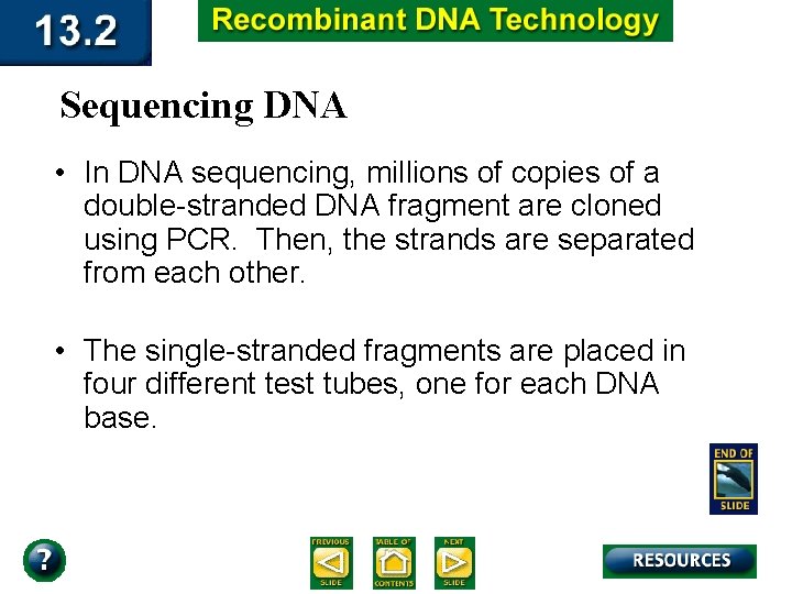 Sequencing DNA • In DNA sequencing, millions of copies of a double-stranded DNA fragment