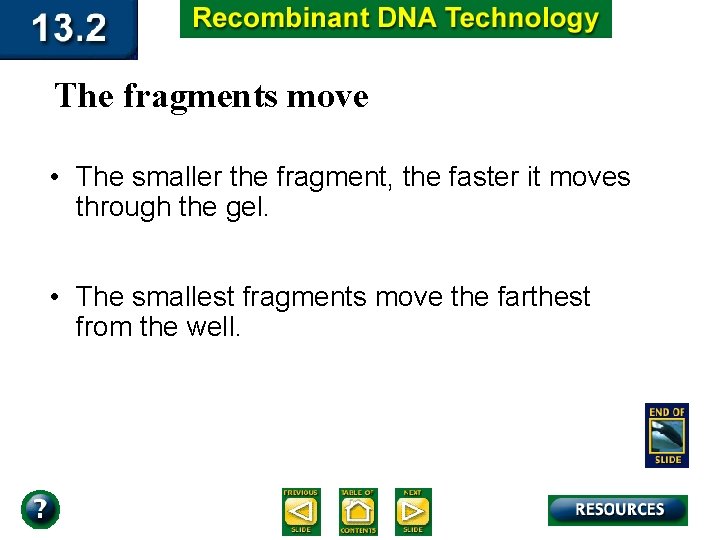 The fragments move • The smaller the fragment, the faster it moves through the