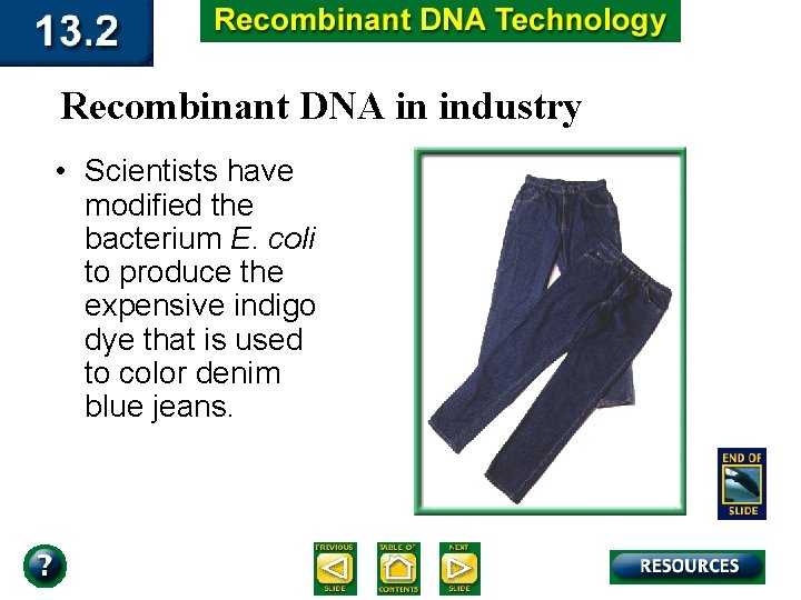 Recombinant DNA in industry • Scientists have modified the bacterium E. coli to produce