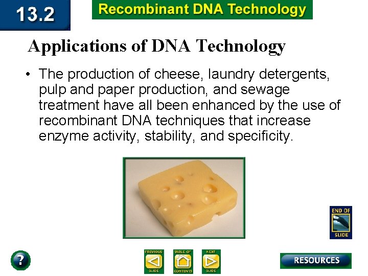 Applications of DNA Technology • The production of cheese, laundry detergents, pulp and paper
