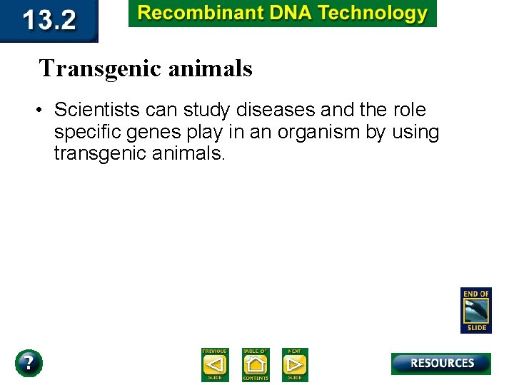 Transgenic animals • Scientists can study diseases and the role specific genes play in