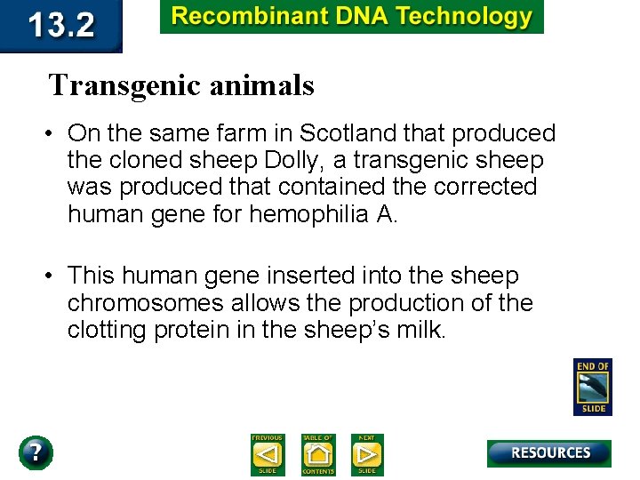 Transgenic animals • On the same farm in Scotland that produced the cloned sheep