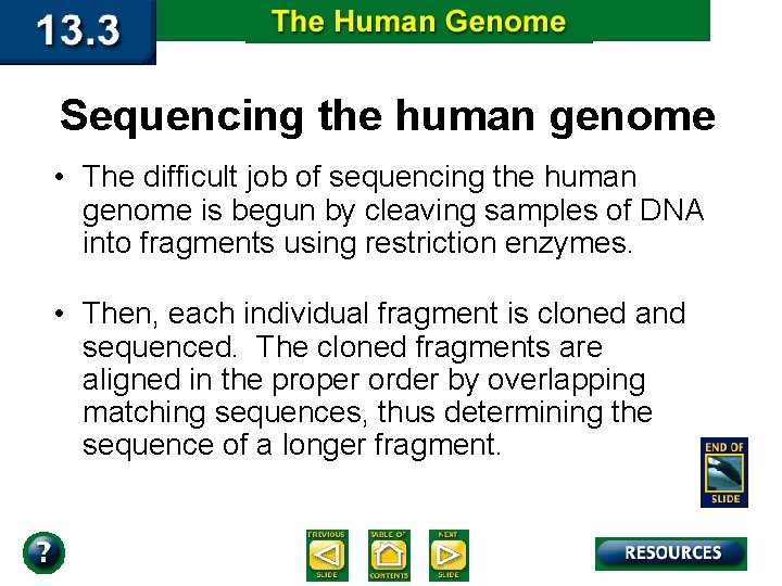 Sequencing the human genome • The difficult job of sequencing the human genome is