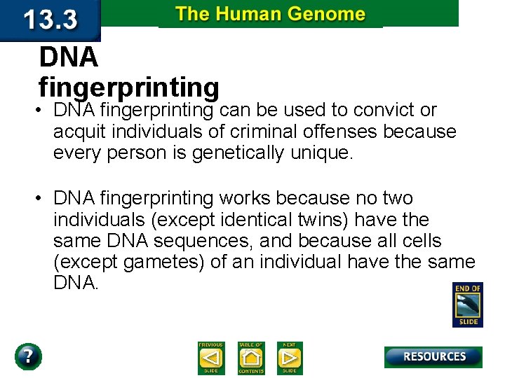 DNA fingerprinting • DNA fingerprinting can be used to convict or acquit individuals of