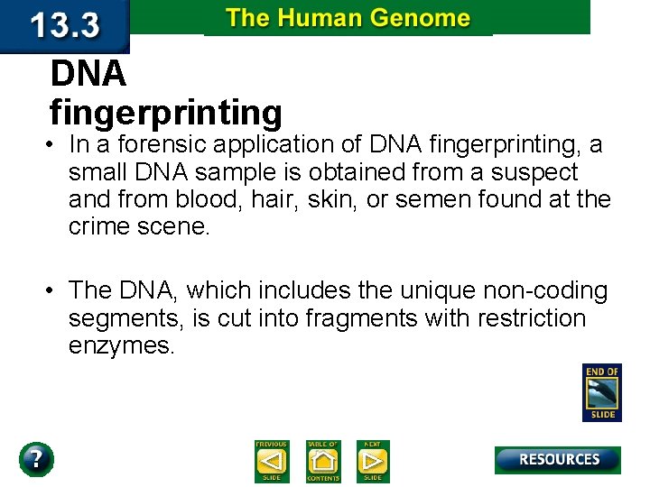 DNA fingerprinting • In a forensic application of DNA fingerprinting, a small DNA sample