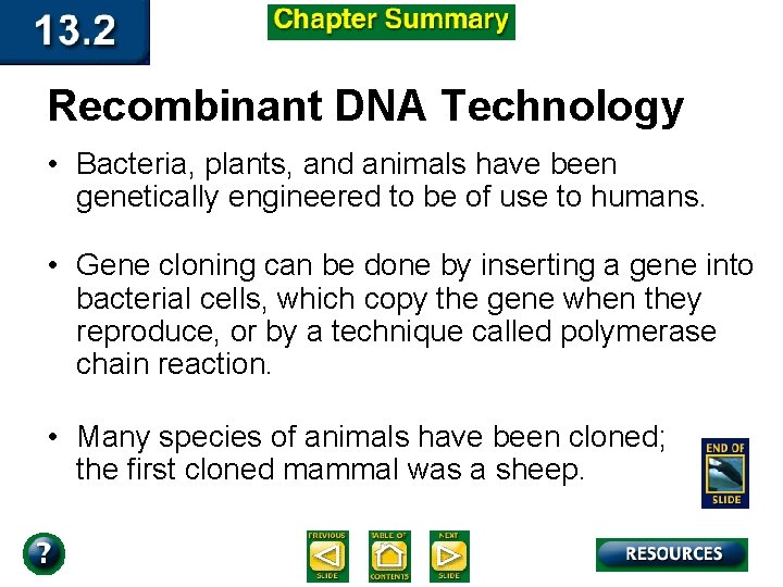 Recombinant DNA Technology • Bacteria, plants, and animals have been genetically engineered to be