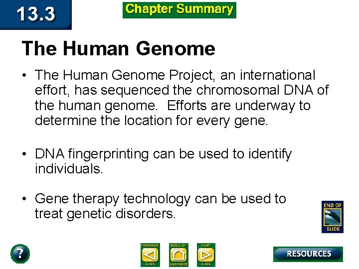 The Human Genome • The Human Genome Project, an international effort, has sequenced the