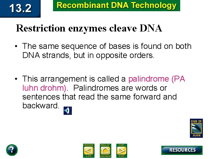 Restriction enzymes cleave DNA • The same sequence of bases is found on both