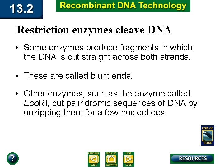 Restriction enzymes cleave DNA • Some enzymes produce fragments in which the DNA is
