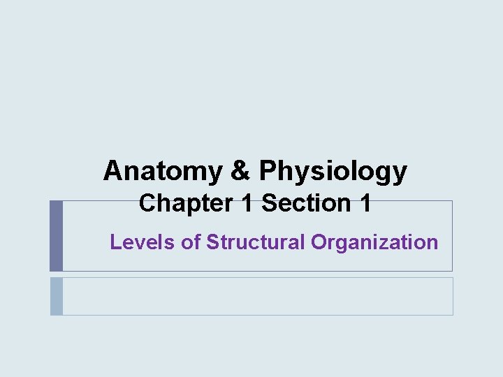 Anatomy & Physiology Chapter 1 Section 1 Levels of Structural Organization 