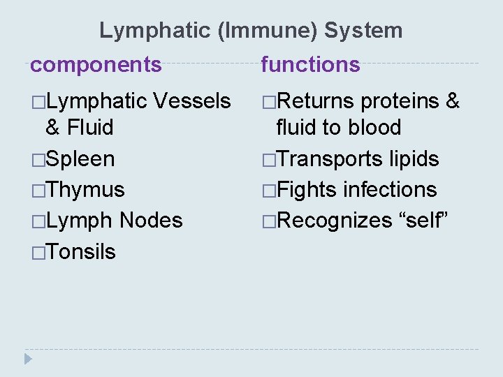 Lymphatic (Immune) System components functions �Lymphatic �Returns Vessels & Fluid �Spleen �Thymus �Lymph Nodes