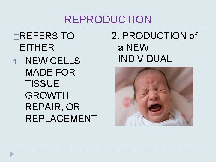 REPRODUCTION �REFERS TO EITHER 1. NEW CELLS MADE FOR TISSUE GROWTH, REPAIR, OR REPLACEMENT