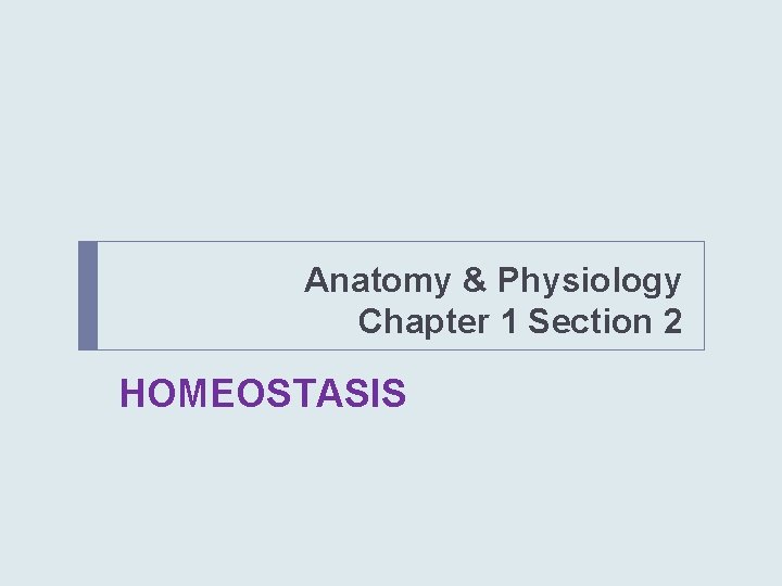 Anatomy & Physiology Chapter 1 Section 2 HOMEOSTASIS 