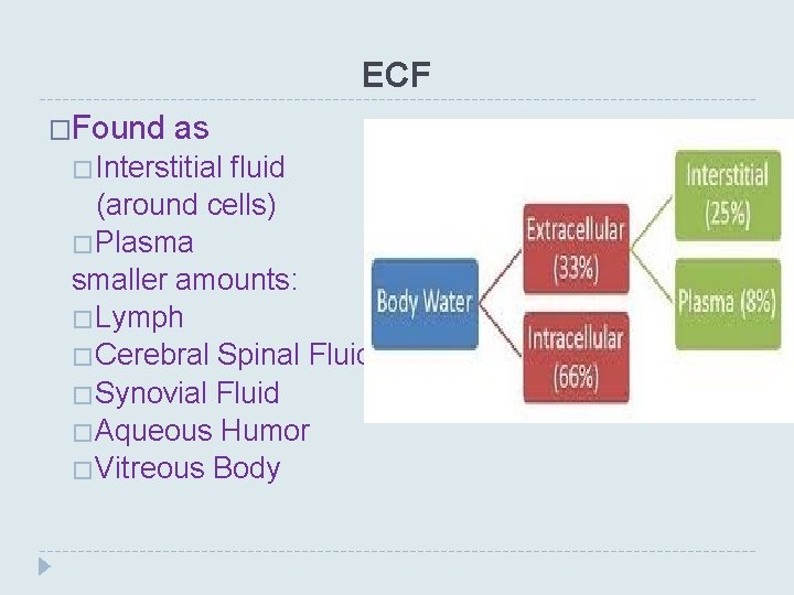 ECF �Found as �Interstitial fluid (around cells) �Plasma smaller amounts: �Lymph �Cerebral Spinal Fluid