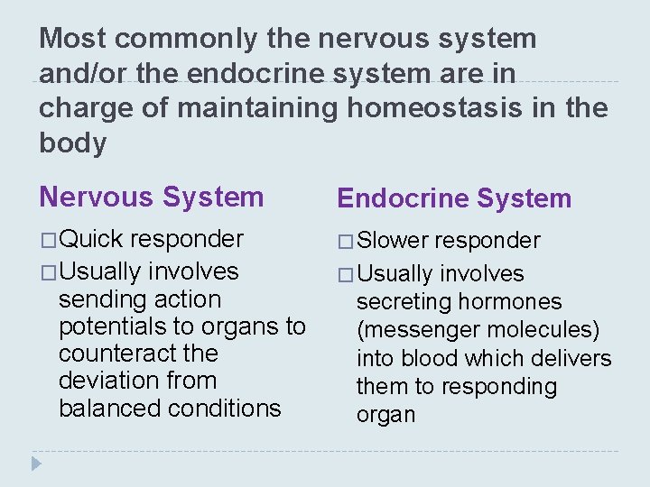 Most commonly the nervous system and/or the endocrine system are in charge of maintaining