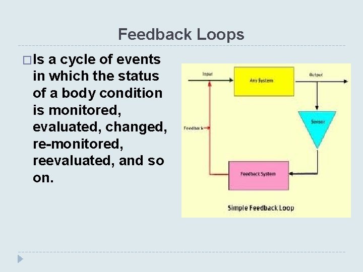 Feedback Loops �Is a cycle of events in which the status of a body