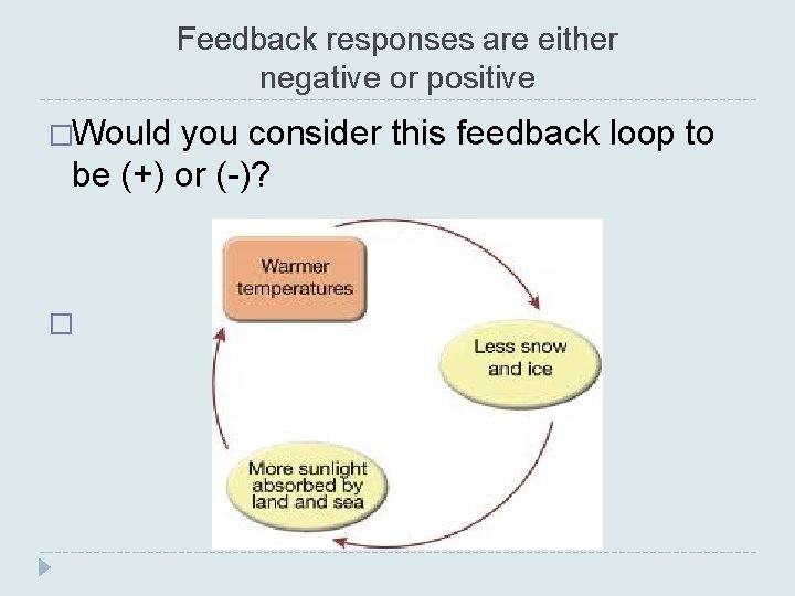 Feedback responses are either negative or positive �Would you consider this feedback loop to