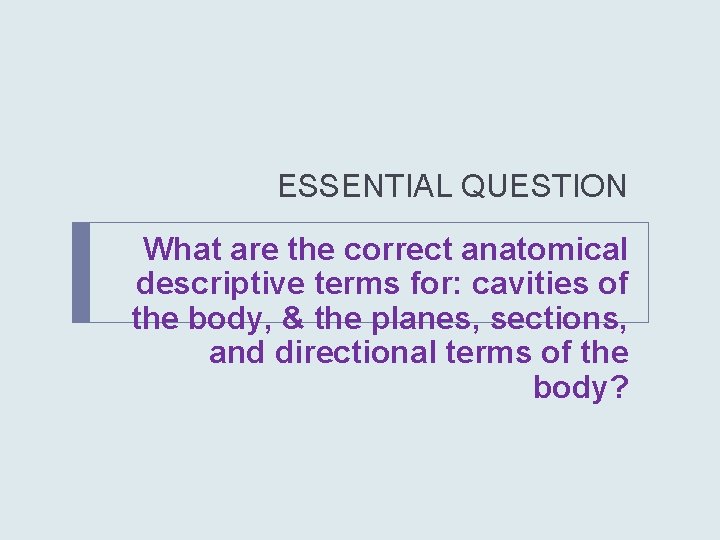 ESSENTIAL QUESTION What are the correct anatomical descriptive terms for: cavities of the body,