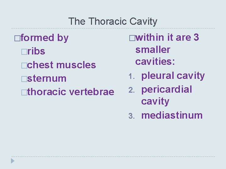 The Thoracic Cavity �formed by �ribs �chest muscles �sternum �thoracic vertebrae �within it are