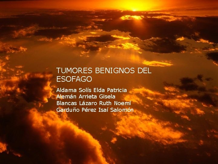 TUMORES BENIGNOS DEL ESOFAGO Aldama Solís Elda Patricia Alemán Arrieta Gisela Blancas Lázaro Ruth