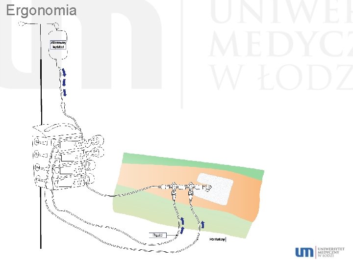 Ergonomia 