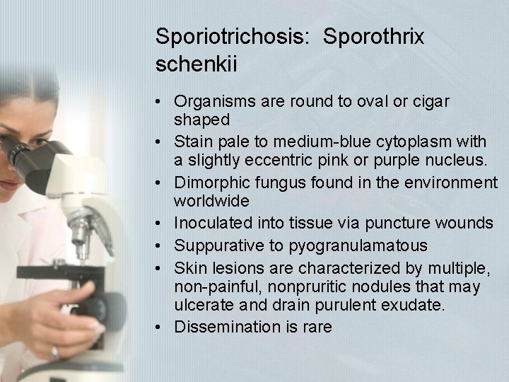 Sporiotrichosis: Sporothrix schenkii • Organisms are round to oval or cigar shaped • Stain Sporiotrichosis: Sporothrix schenkii • Organisms are round to oval or cigar shaped • Stain