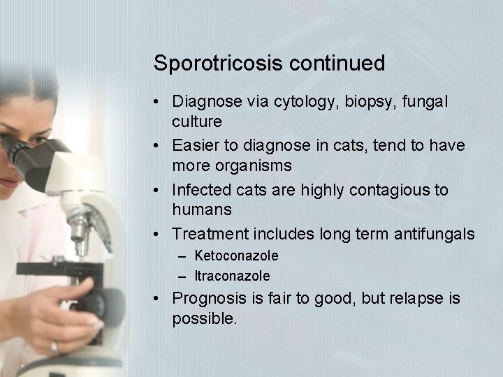Sporotricosis continued • Diagnose via cytology, biopsy, fungal culture • Easier to diagnose in Sporotricosis continued • Diagnose via cytology, biopsy, fungal culture • Easier to diagnose in