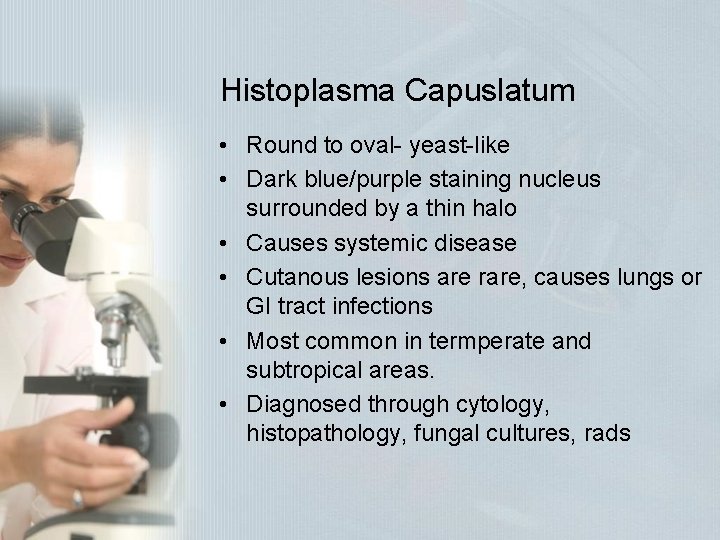 Histoplasma Capuslatum • Round to oval- yeast-like • Dark blue/purple staining nucleus surrounded by Histoplasma Capuslatum • Round to oval- yeast-like • Dark blue/purple staining nucleus surrounded by