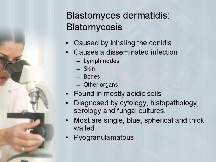 Blastomyces dermatidis: Blatomycosis • Caused by inhaling the conidia • Causes a disseminated infection Blastomyces dermatidis: Blatomycosis • Caused by inhaling the conidia • Causes a disseminated infection
