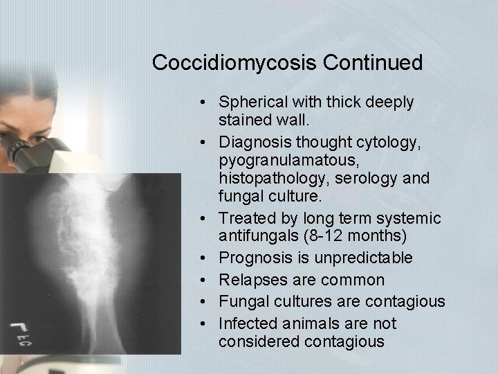Coccidiomycosis Continued • Spherical with thick deeply stained wall. • Diagnosis thought cytology, pyogranulamatous, Coccidiomycosis Continued • Spherical with thick deeply stained wall. • Diagnosis thought cytology, pyogranulamatous,