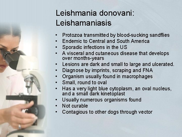 Leishmania donovani: Leishamaniasis • • • Protozoa transmitted by blood-sucking sandflies Endemic to Central Leishmania donovani: Leishamaniasis • • • Protozoa transmitted by blood-sucking sandflies Endemic to Central