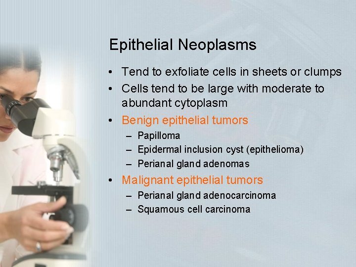 Epithelial Neoplasms • Tend to exfoliate cells in sheets or clumps • Cells tend Epithelial Neoplasms • Tend to exfoliate cells in sheets or clumps • Cells tend