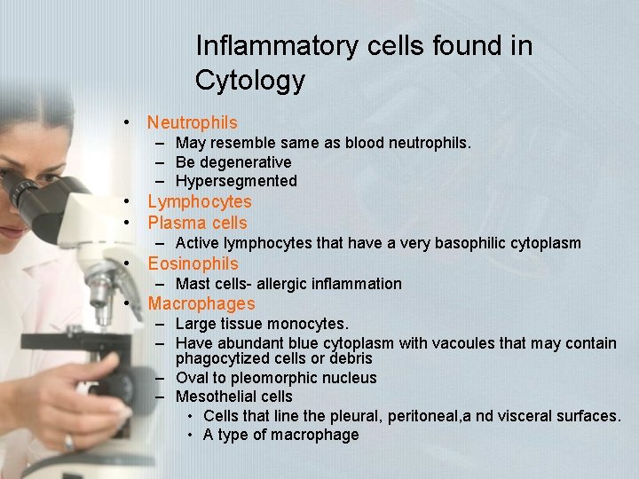 Inflammatory cells found in Cytology • Neutrophils – May resemble same as blood neutrophils. Inflammatory cells found in Cytology • Neutrophils – May resemble same as blood neutrophils.
