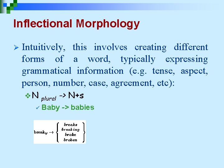 Inflectional Morphology Ø Intuitively, this involves creating different forms of a word, typically expressing