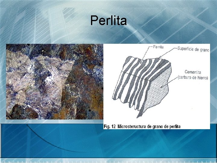 Perlita 